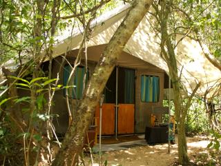 Mahoora Explorer - Bundala by Eco Team - Hambantota - 8
