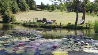 Agriturismo San Bernardino Del Lago - Rapolano Terme - 5