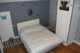 maison des papillons - 7