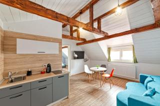 T House - Sibiu - 9