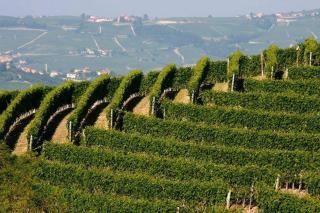 Agriturismo Cascina Rabalot - 1