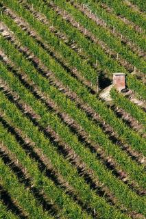 Agriturismo Cascina Rabalot - Diano dʼAlba - 2