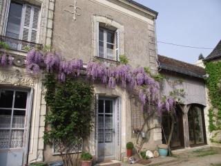 Chambre d'hôtes Le Vaujoint - Cheillé - 9