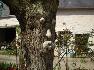 Chambre d'hôtes Le Vaujoint - Cheillé - 8
