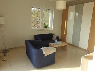 Apartament w zieleni do wynajęcia blisko jeziora - 7