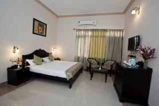 Araliayas Resort & Spa - Udaipur - 8