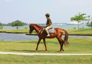 Mayang Sari Beach Resort - 2