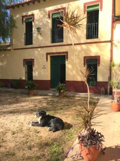 Casona Villa Paquita - Lujosa Villa de 1913 - Ondara - 3
