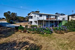 Waders - Coles Bay - 2