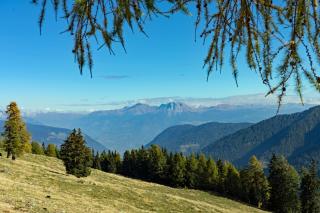 Hotel Alpenhof - Ultimo - 7