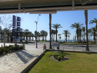 Zeus Auriga - Salou - 9