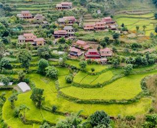 Riepe Village - Ghanpokhara - 9