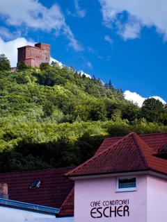 Gästehaus Eschers Eiswerk - Annweiler am Trifels - 2