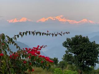 Riepe Village - Ghanpokhara - 4