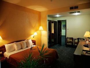 Ararat Hotel - Jerewan - 6
