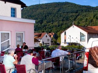 Gästehaus Eschers Eiswerk - Annweiler am Trifels - 1