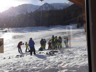 Hotel-Restaurant Forellenhof - 9