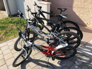 Apartment MADIS & Free Bikes - 7