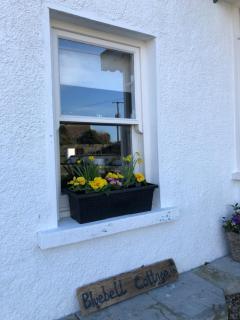 Bluebell Cottage - Kilmore Quay - 7