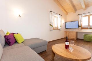 Ferienhaus Widauer Herzoghof - Leogang - 1
