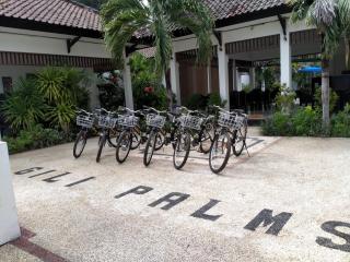 Gili Palms Resort - Gili Trawangan - 5