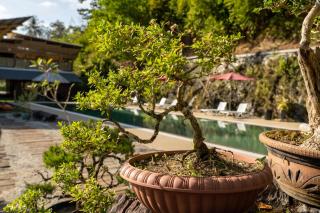 Bamboo Cottage Langkawi - 4