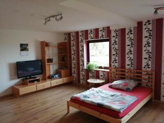 Moderne ganze Ferienwohnung 1km zum FunPark und nur 15 Minuten nach Nürnberg - Zirndorf - 7