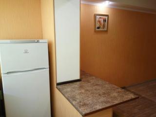 Квартира рядом з Дрім_тауном , Оболонь (146) - Kiev - 3