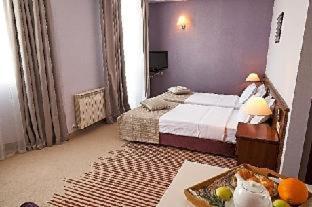 Hotel Lion Sofia - Sofia - 8