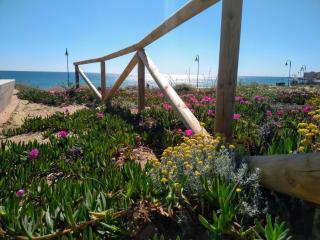 7th floor beachfront apartment with stunning views - La Mata - 7