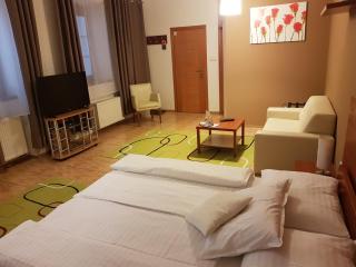 Alex Pension - Prešov - 8
