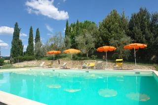 Ginestra - Poggibonsi - 3