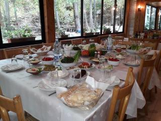 Tamerland-faraya - 1