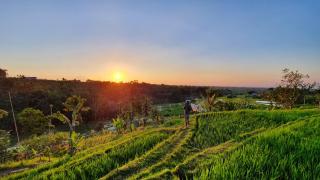 Hara Bali Eco Homestay - Balian - 5