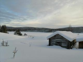 Lemmenjoki Camping EcoCabins - Lemmenjoki - 5