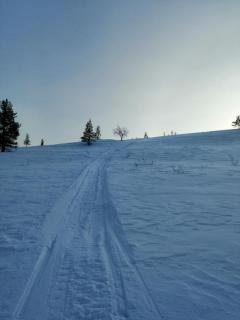 Lemmenjoki Camping EcoCabins - Lemmenjoki - 4