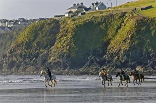 Beach Haven Apartments - Tramore - 5