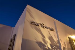 Anima Apartments - Chora Folegandros - 9