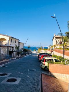 Bacco - Tropea - 7