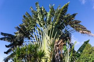 Gîtes de la coulisse - 3