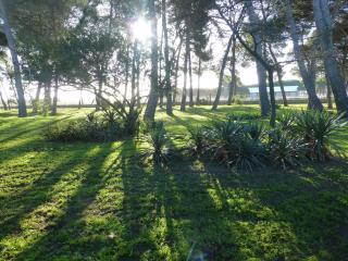 La Maison du Môle - 7