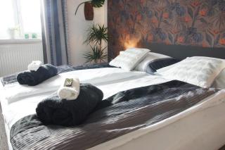 Luxusní Apartmán NMNM Family - Nové Město na Moravě - 8