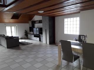 Holidays Homes Il Folletto - Quartino - 2