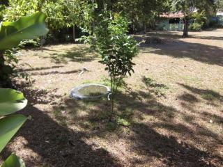 Residencial Recanto da Colina - Trancoso - 5