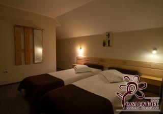 Casa din Parc - Covasna - 1