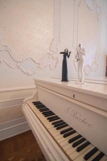 The Grand Piano Villa - Kutaisi - 4