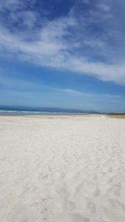 Thistle Do Beach Bach - Ruakaka - 1