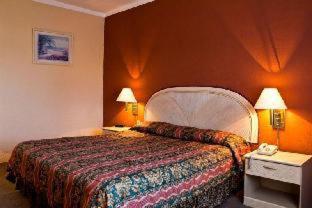 Hotel San Francisco Leon - León - 8