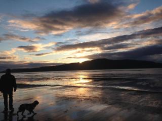 Long House Studio - Paraparaumu - 2