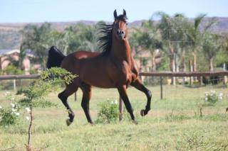 Maretlwane Guesthouse - 3